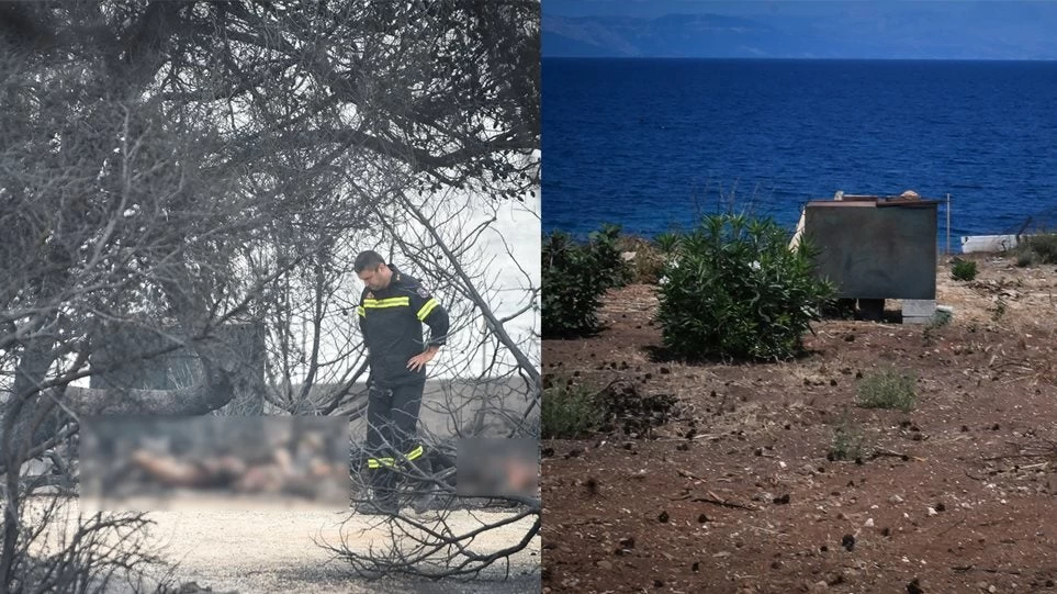 Μάτι ένας χρόνος μετά: Εικόνες γροθιά στο στομάχι
